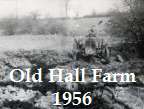 Old Hall Farm 1956