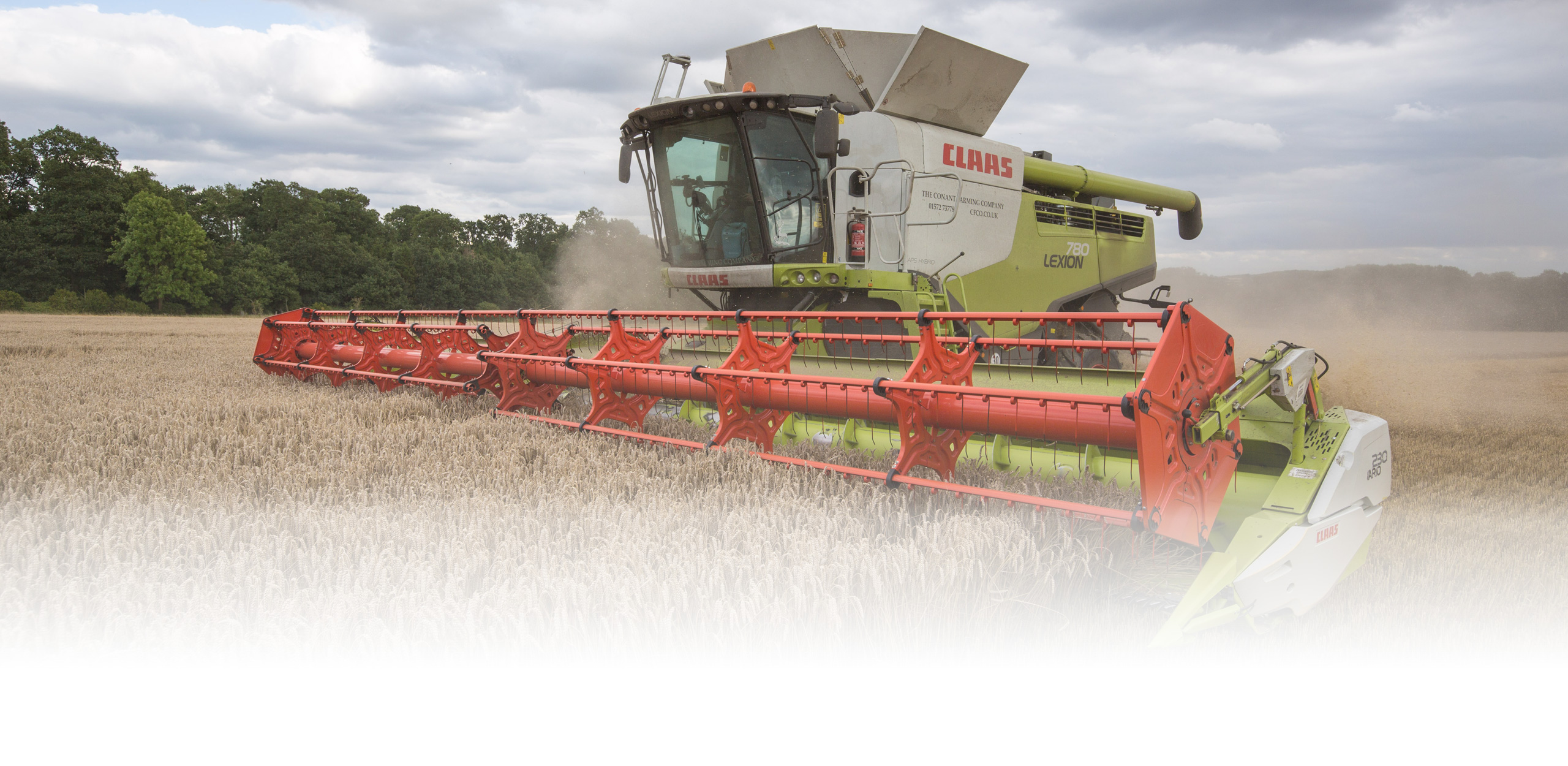 Claas Lexion 780 Combine Harvesting Wheat